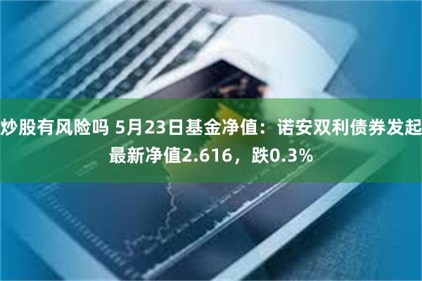 炒股有风险吗 5月23日基金净值：诺安双利债券发起最新净值2.616，跌0.3%