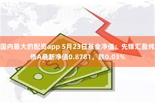 国内最大的配资app 5月23日基金净值：先锋汇盈纯债A最新净值0.8781，跌0.03%