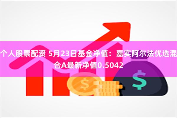 个人股票配资 5月23日基金净值：嘉实阿尔法优选混合A最新净值0.5042