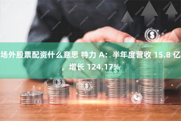 场外股票配资什么意思 特力 A：半年度营收 15.8 亿，增长 124.17%