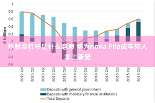 炒股票杠杆是什么意思 华为nova Flip成年轻人掌上新宠