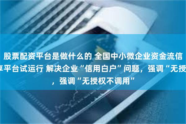 股票配资平台是做什么的 全国中小微企业资金流信用信息共享平台试运行 解决企业“信用白户”问题，强调“无授权不调用”