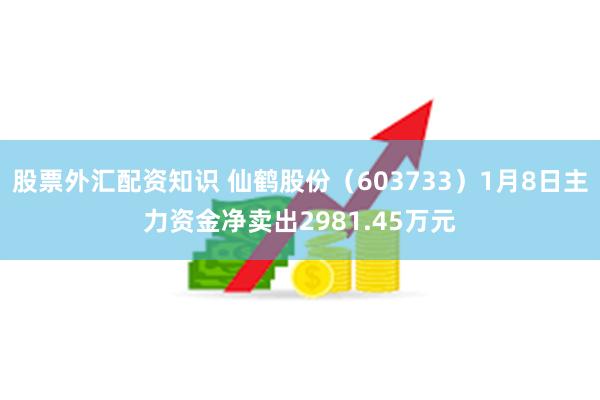 股票外汇配资知识 仙鹤股份（603733）1月8日主力资金净卖出2981.45万元