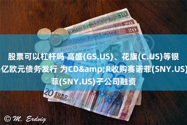 股票可以杠杆吗 高盛(GS.US)、花旗(C.US)等银行启动74.5亿欧元债务发行 为CD&R收购赛诺菲(SNY.US)子公司融资